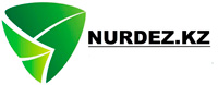NurDez logo